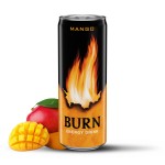 Burn Mango 250ml x 12