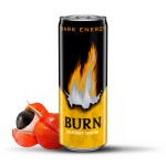 Burn Dark Energy 250ml x 12