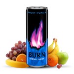 Burn Fruit Punch 250ml x 12